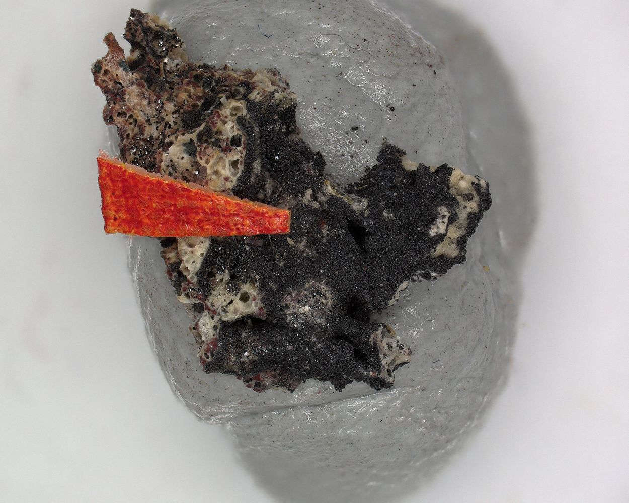 Borisenkoite
