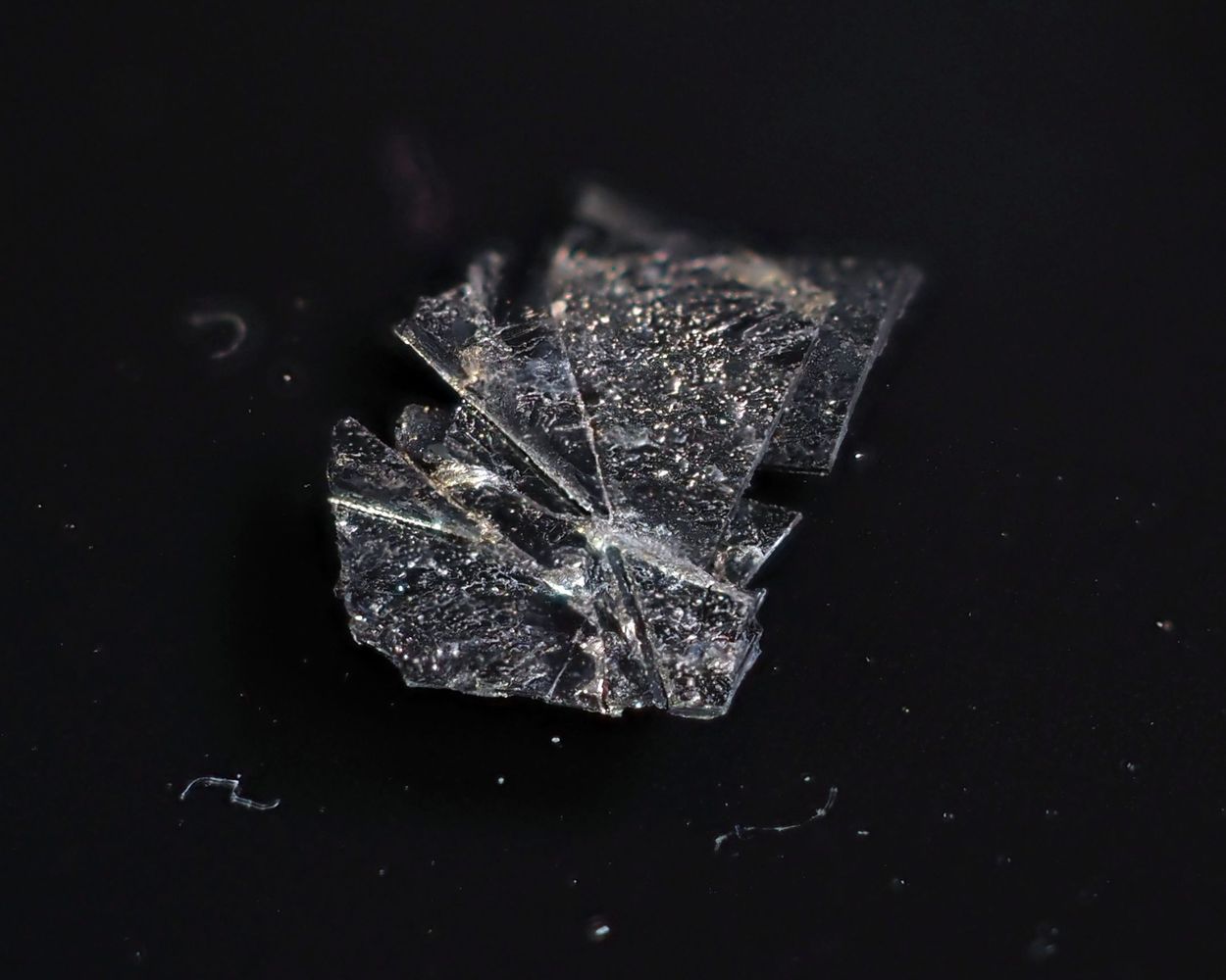 Westerveldite On Herzenbergite