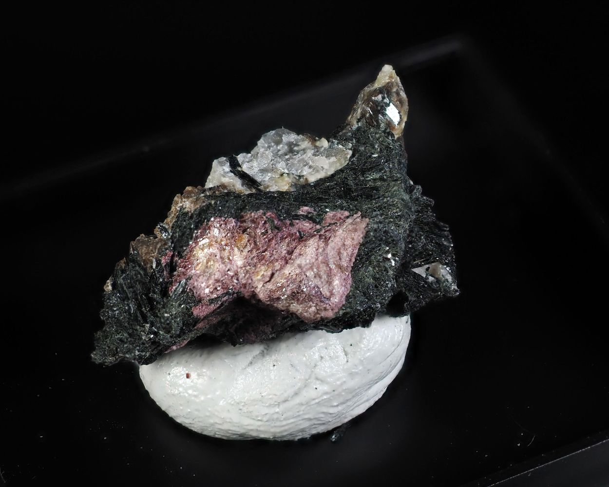 Ikranite