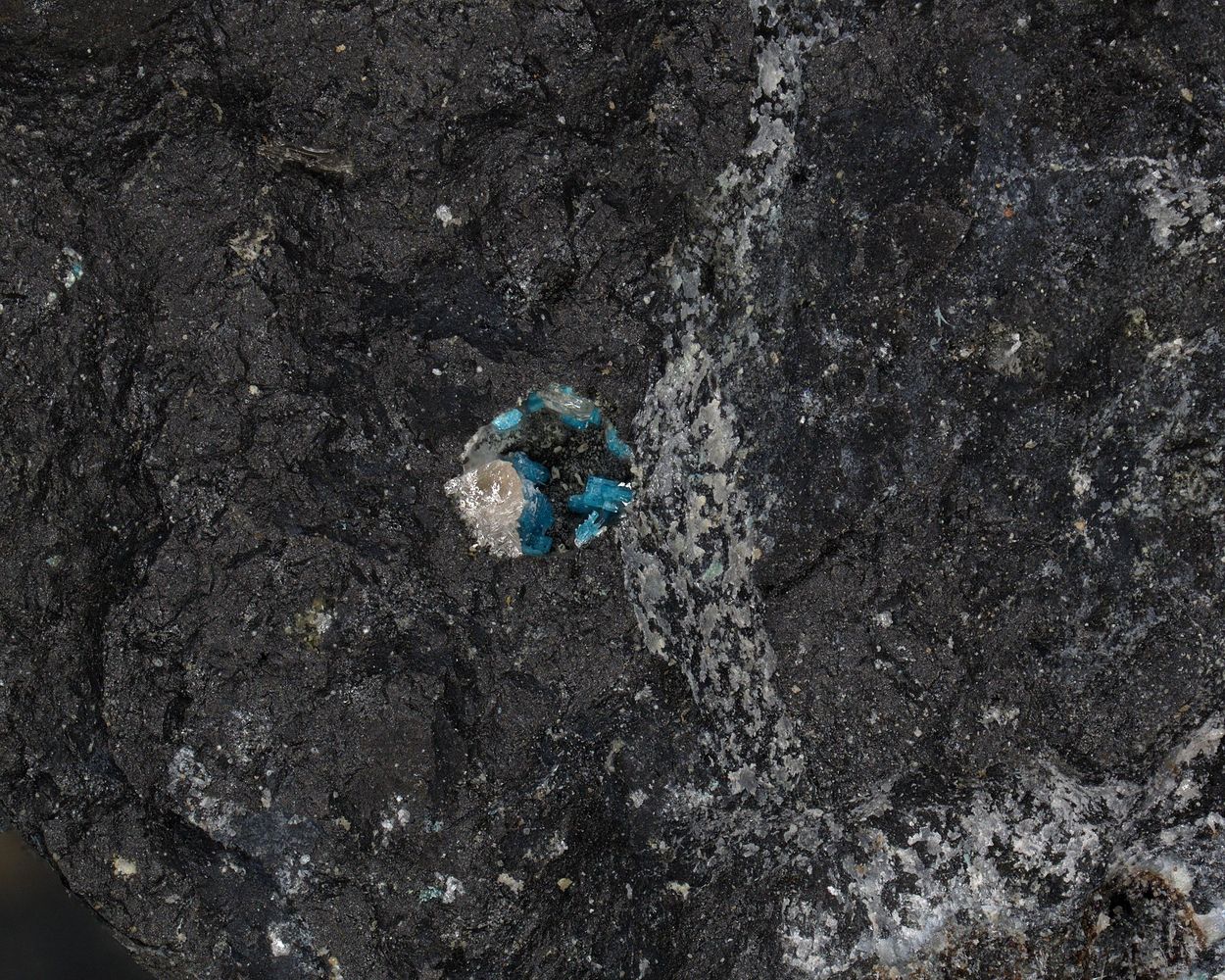 Pseudoboleite