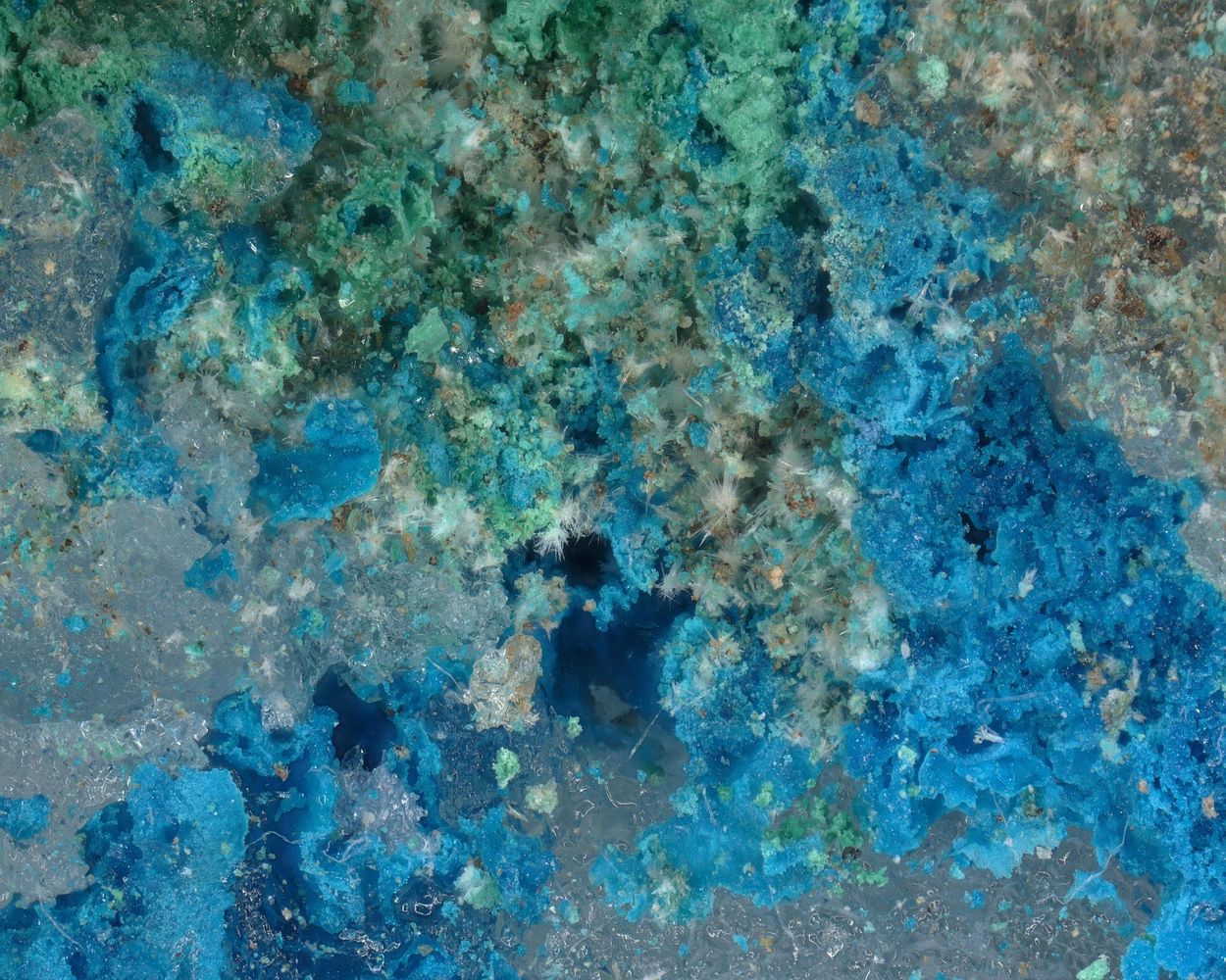 Eugsterite On Ammineite