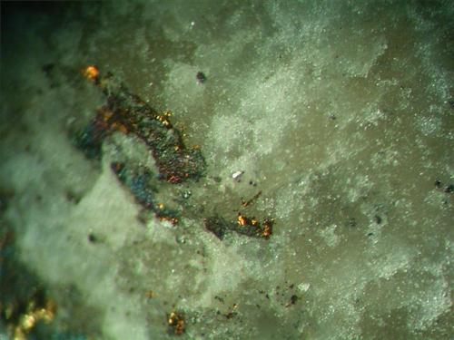 Calaverite & Chalcopyrite