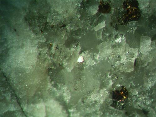 Calaverite & Chalcopyrite