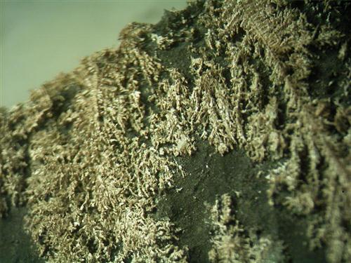 Native Silver