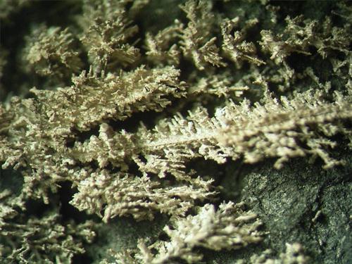 Native Silver