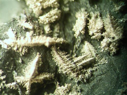 Native Silver
