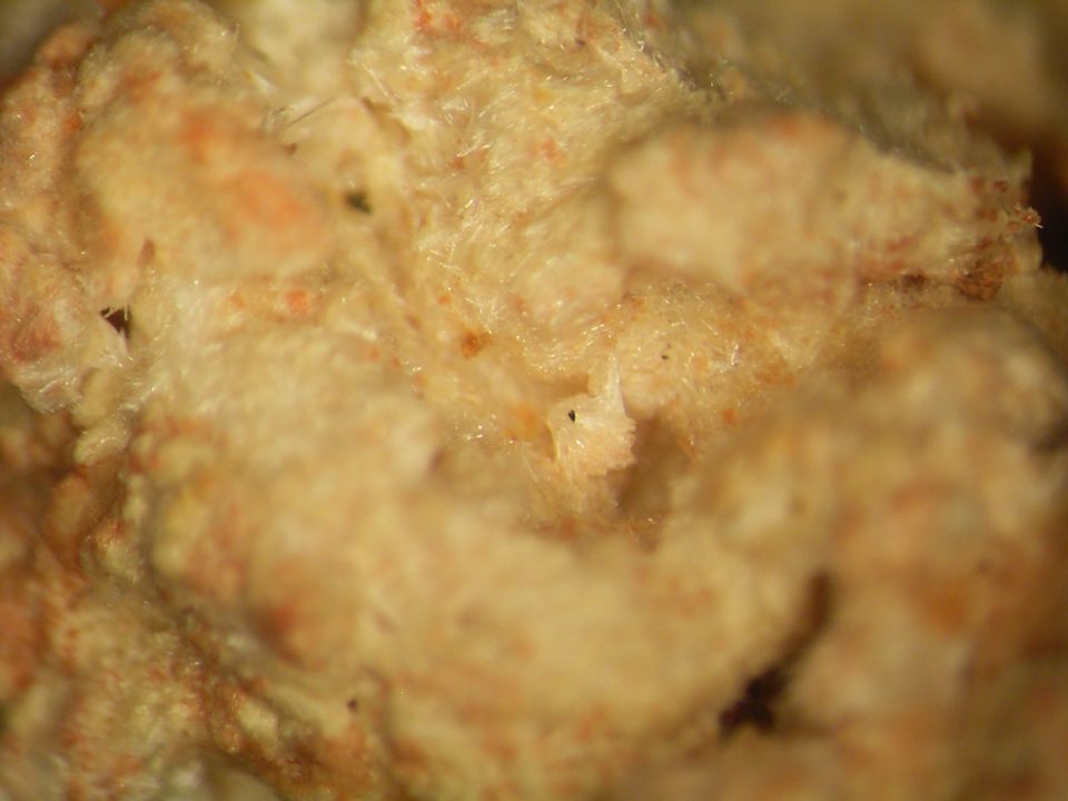 Chvaleticeite