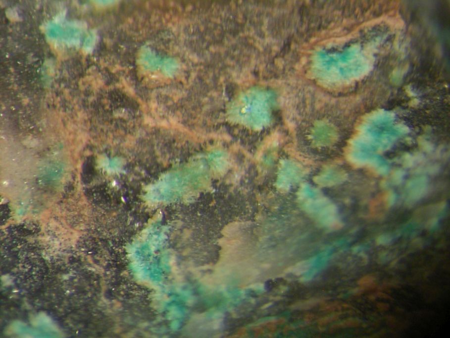 Schmiederite