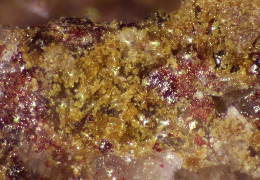 Argentojarosite & Carminite