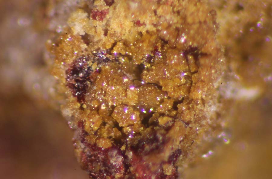 Argentojarosite & Carminite