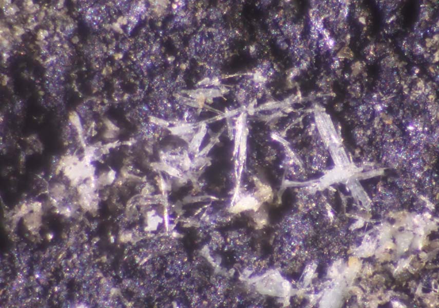 Fernandinite & Melanovanadite