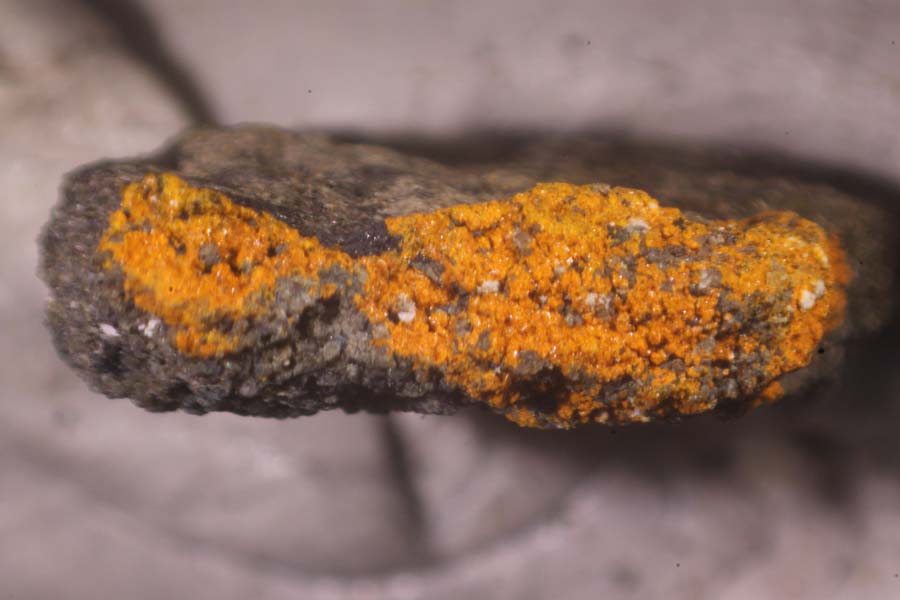 Rakovanite