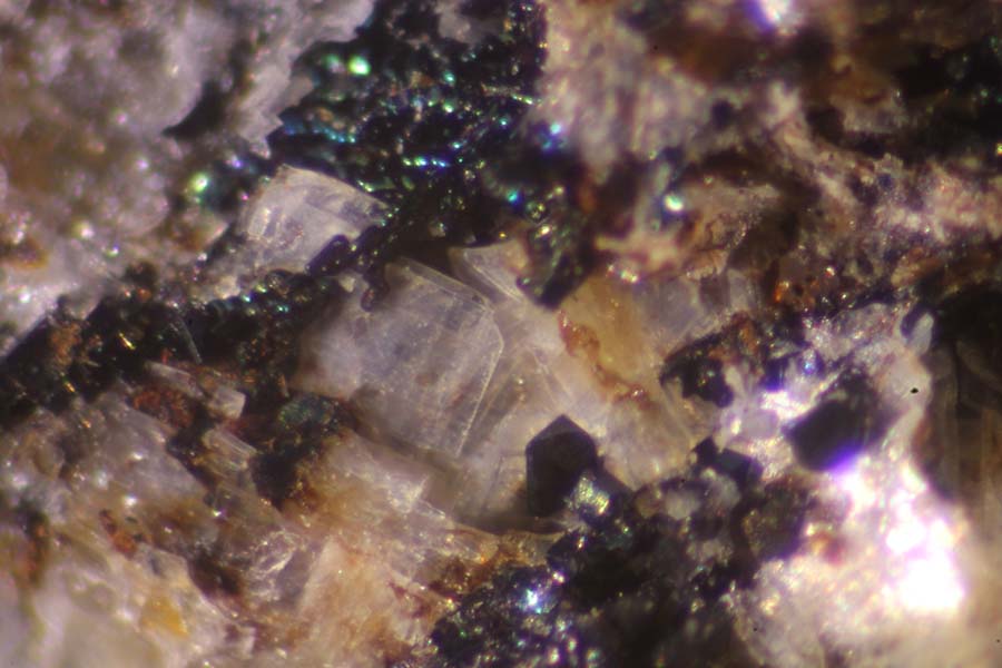 Emmerichite Günterblassite & Lileyite