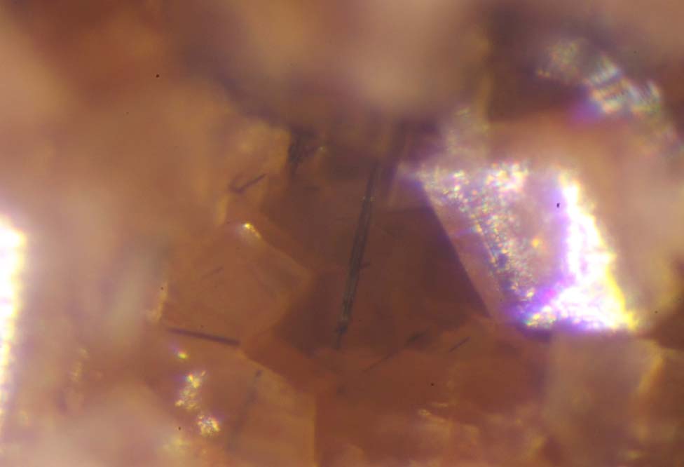 Scainiite