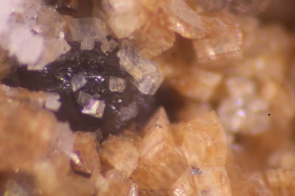 Scainiite