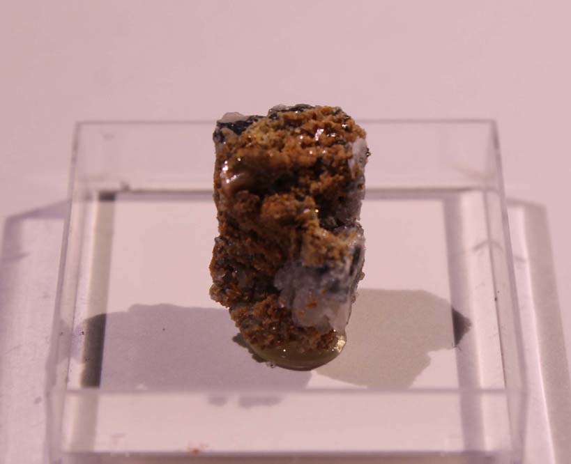Scainiite