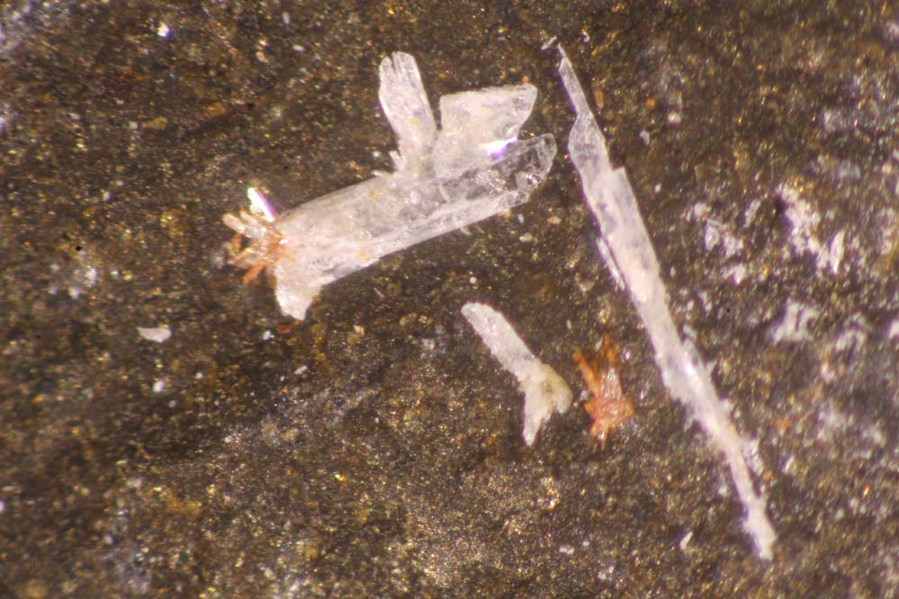 Nealite Ecdemite & Paralaurionite