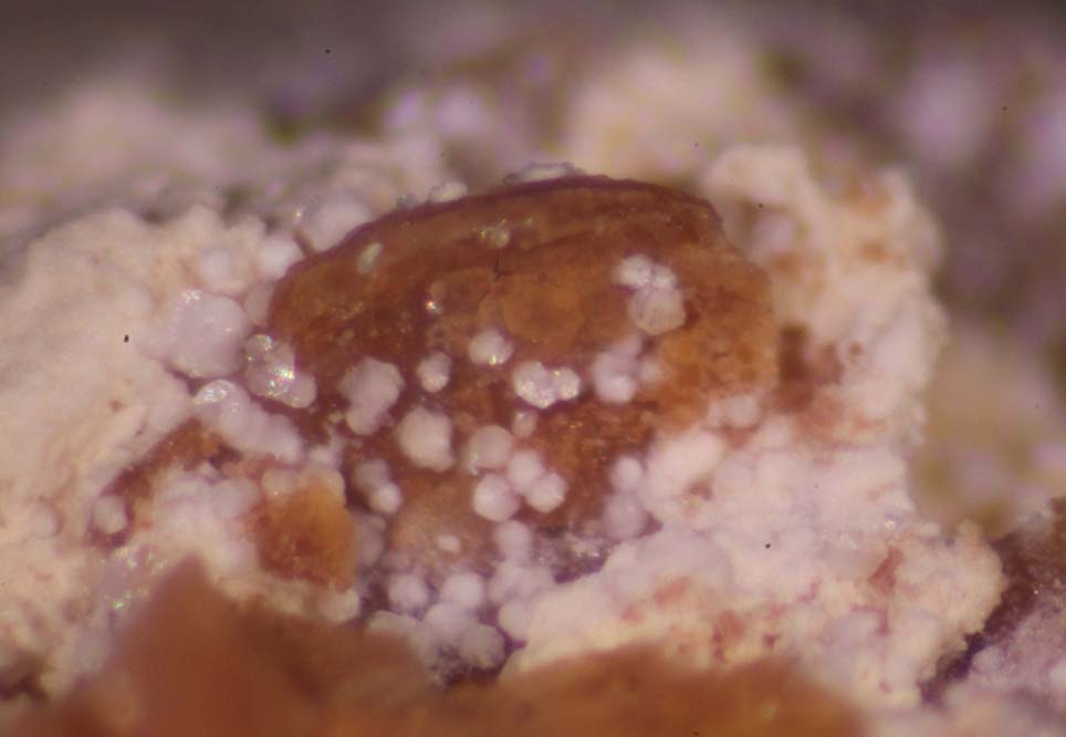 Parwanite & Taranakite
