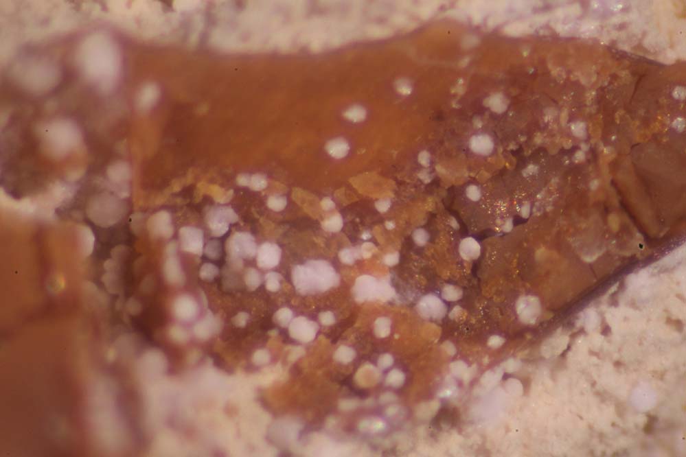 Parwanite & Taranakite