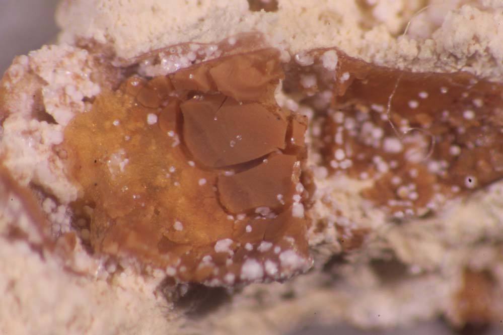 Parwanite & Taranakite