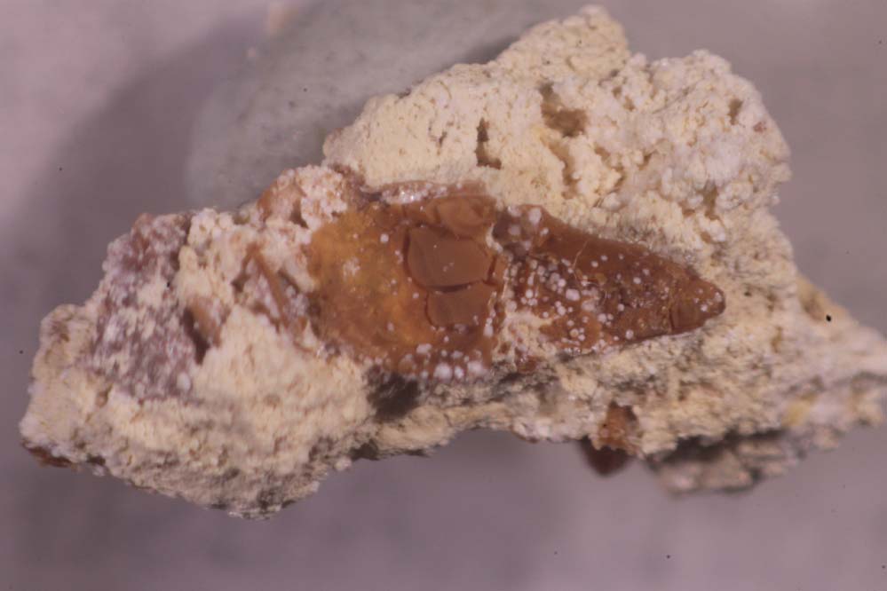 Parwanite & Taranakite