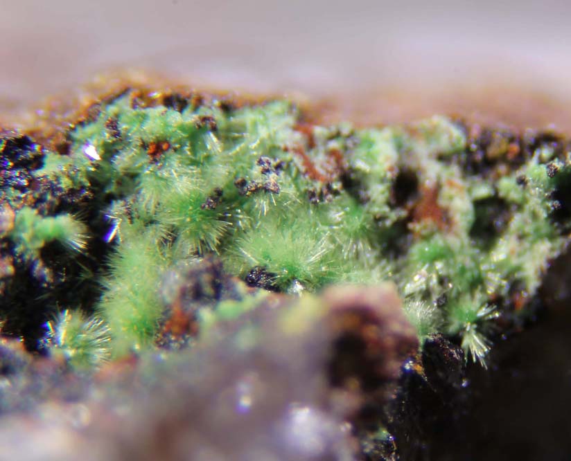 Creaseyite Wickenburgite & Mimetite