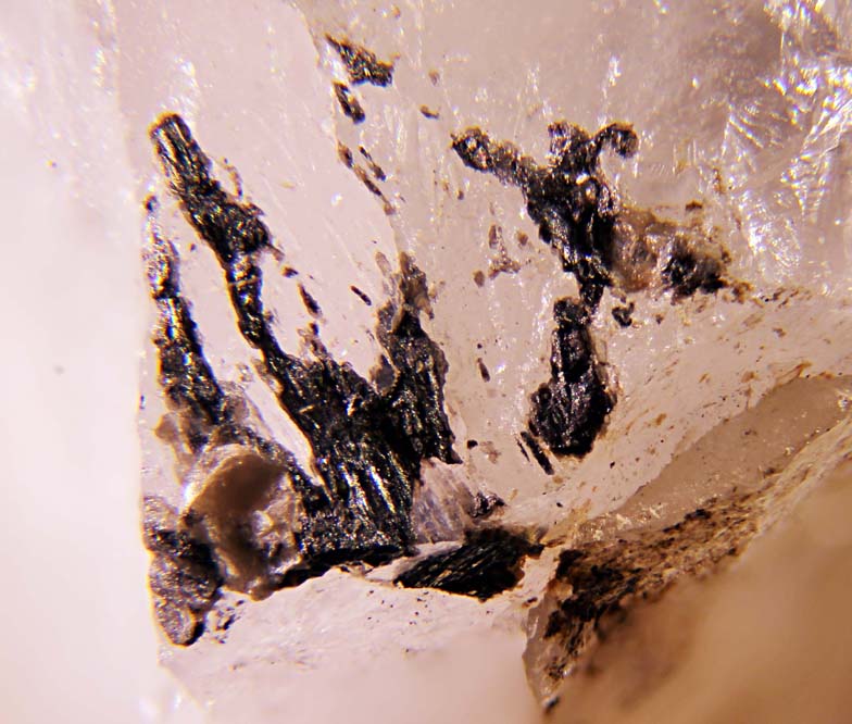 Bonchevite