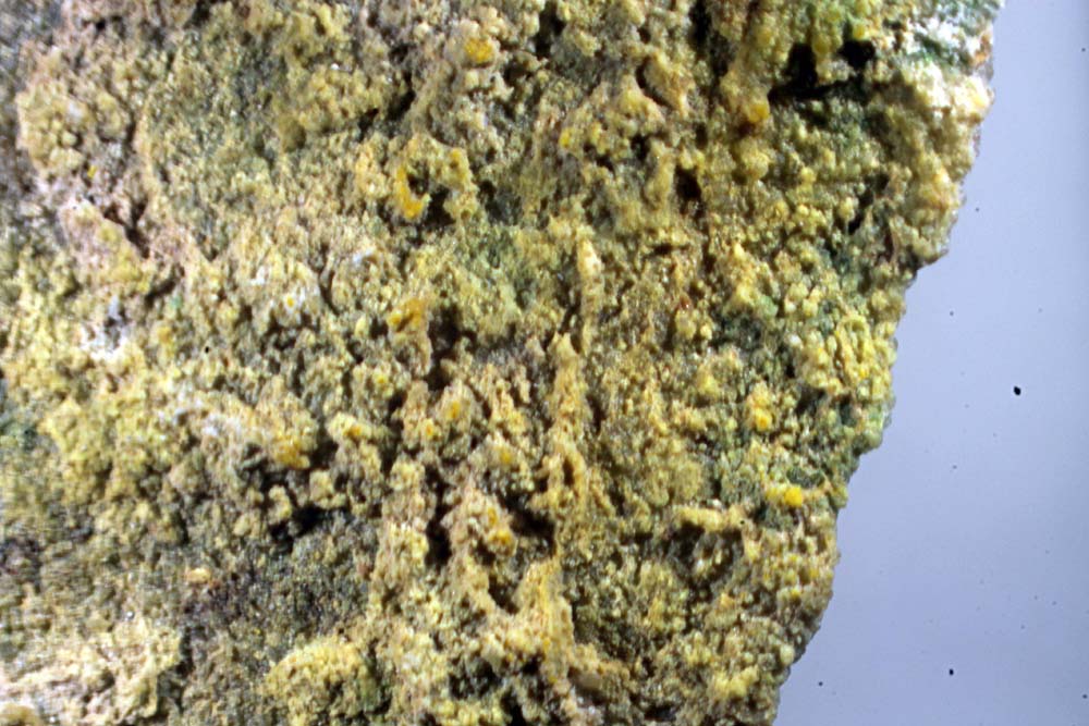 Pintadoite & Fernandinite