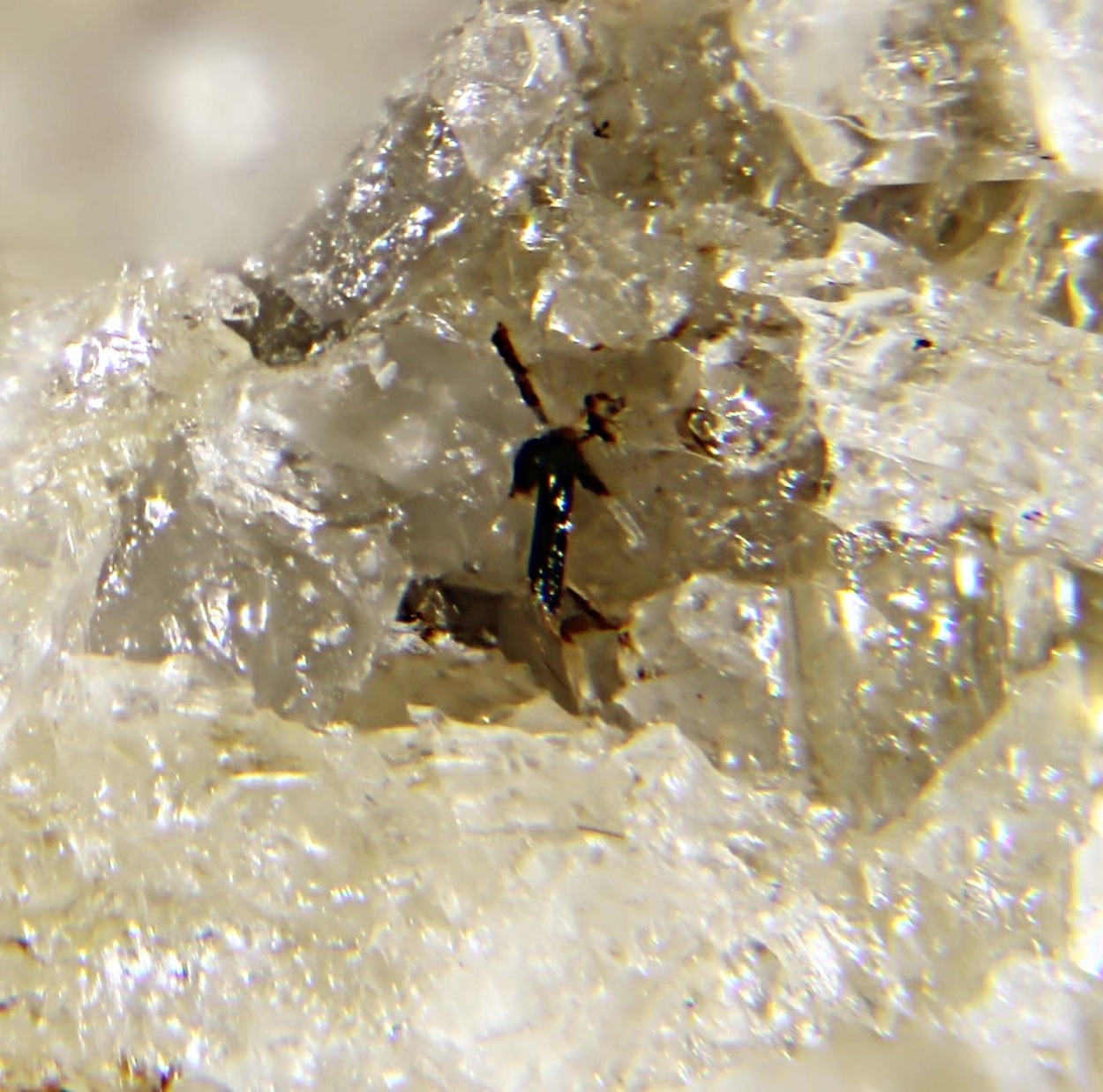 Stefanweissite