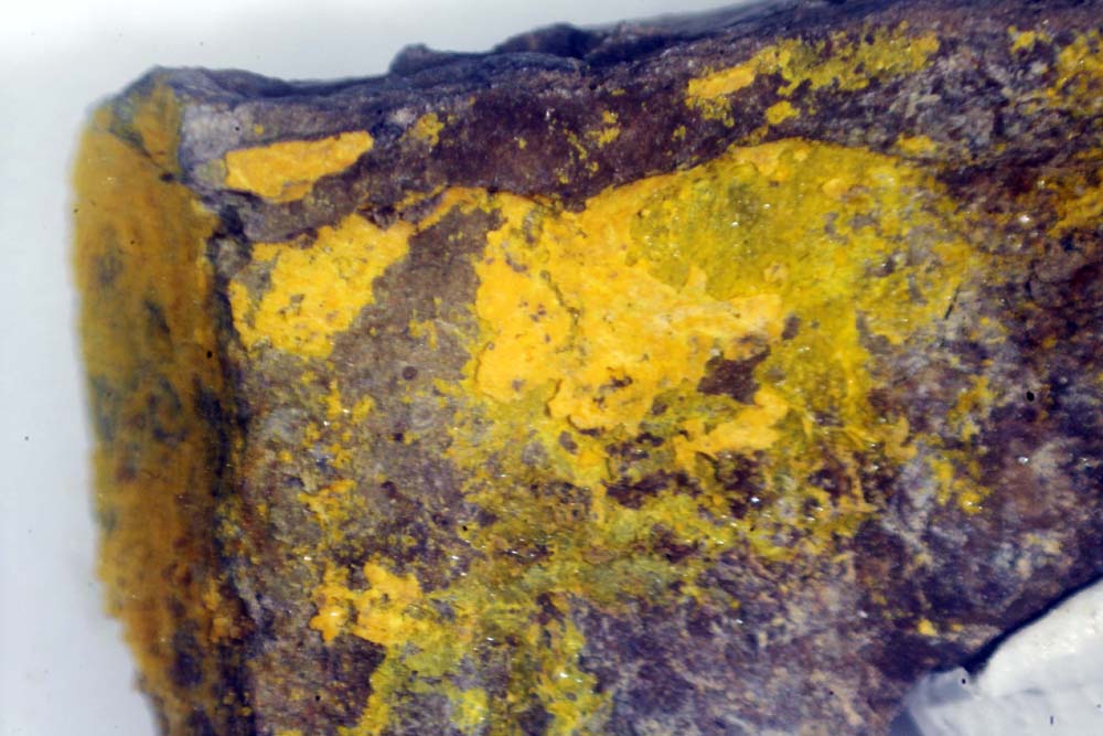 Schoderite
