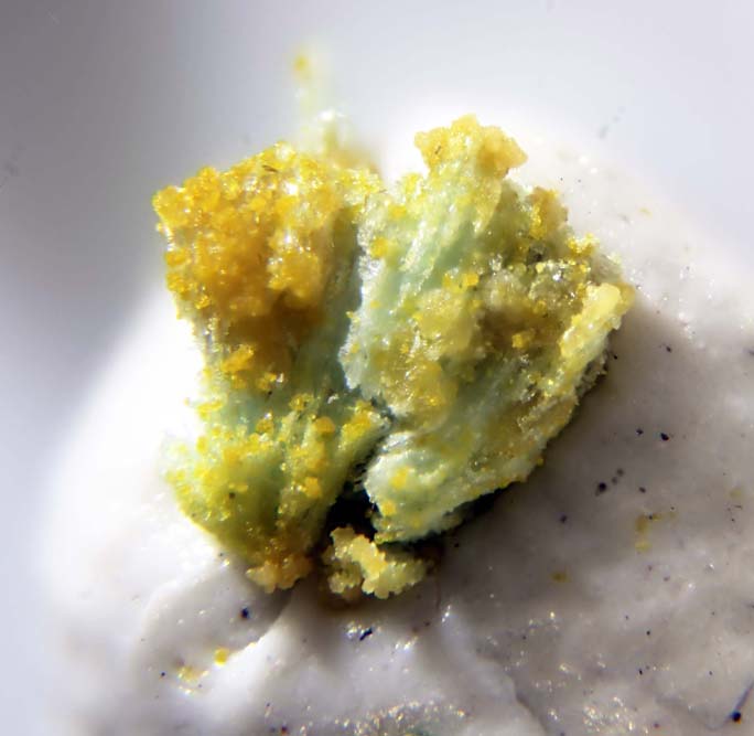 Ransomite & Magnesiocopiapite