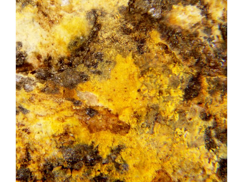 Brockite