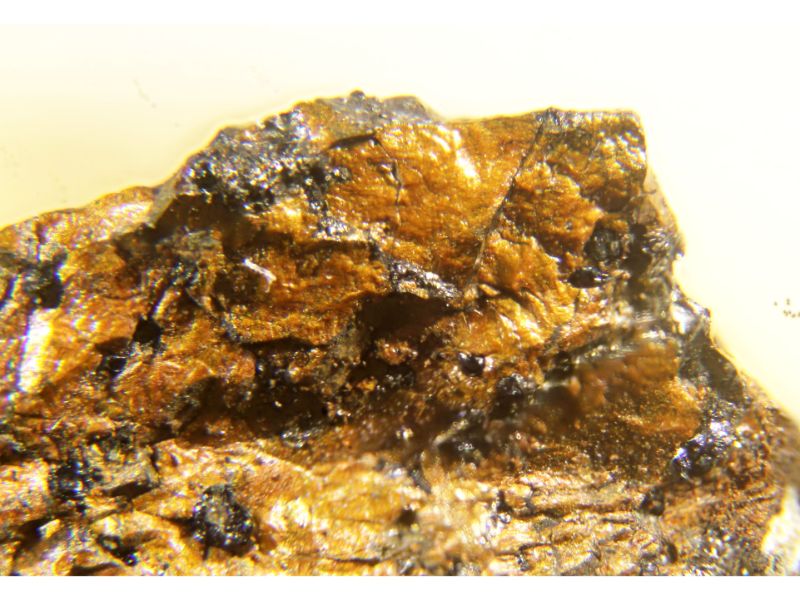 Borovskite