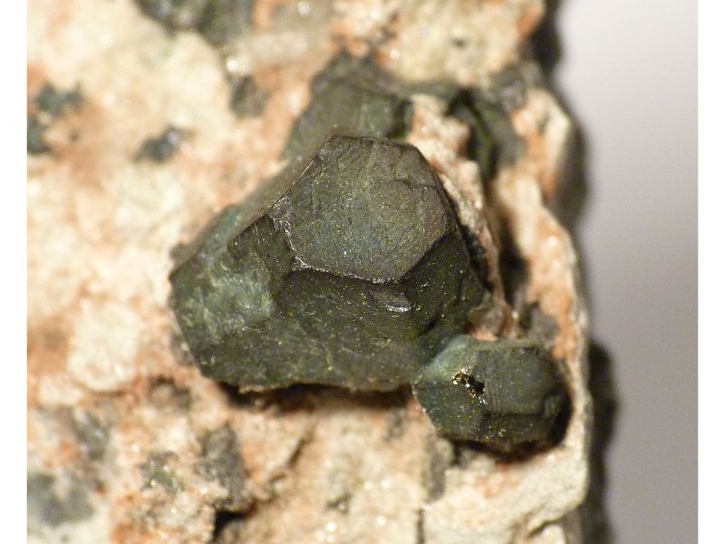 Bornite