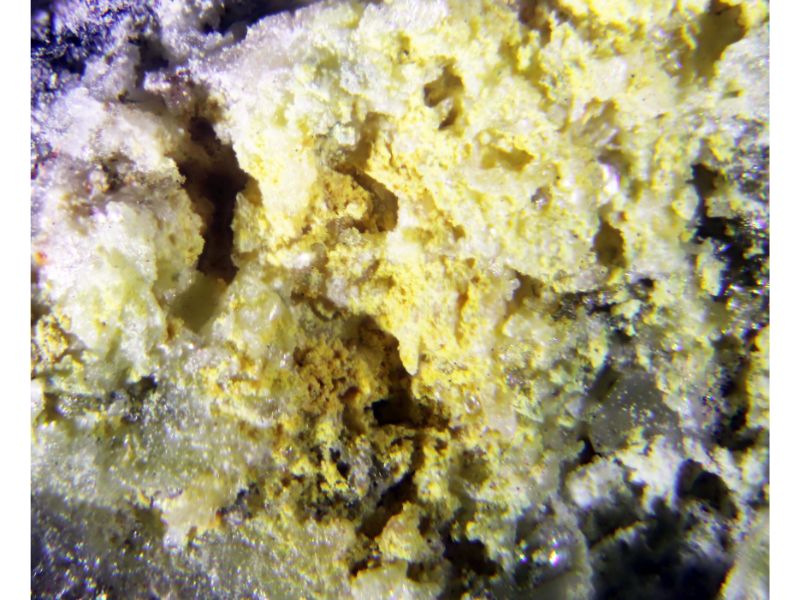 Tocornalite