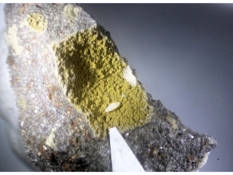 Chabazite-Na & Saponite