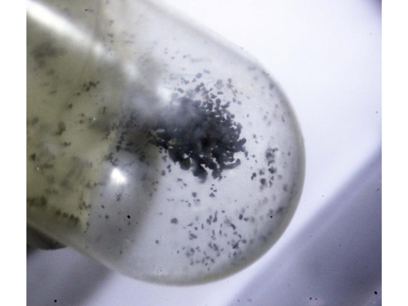 Native Chromium