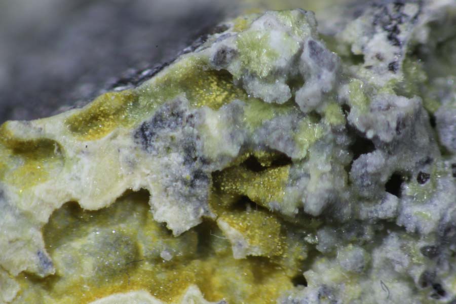 Thermessaite & Adranosite-(Fe)