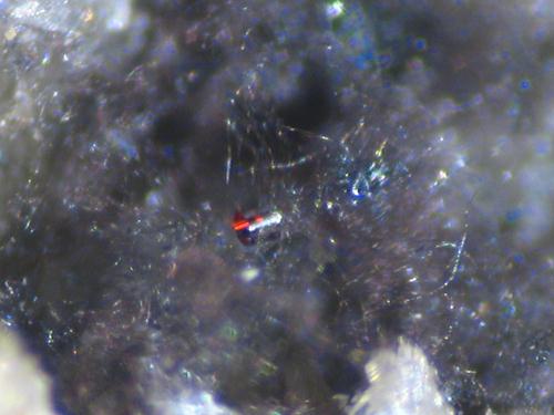 Tubulite