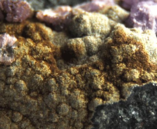 Tinticite