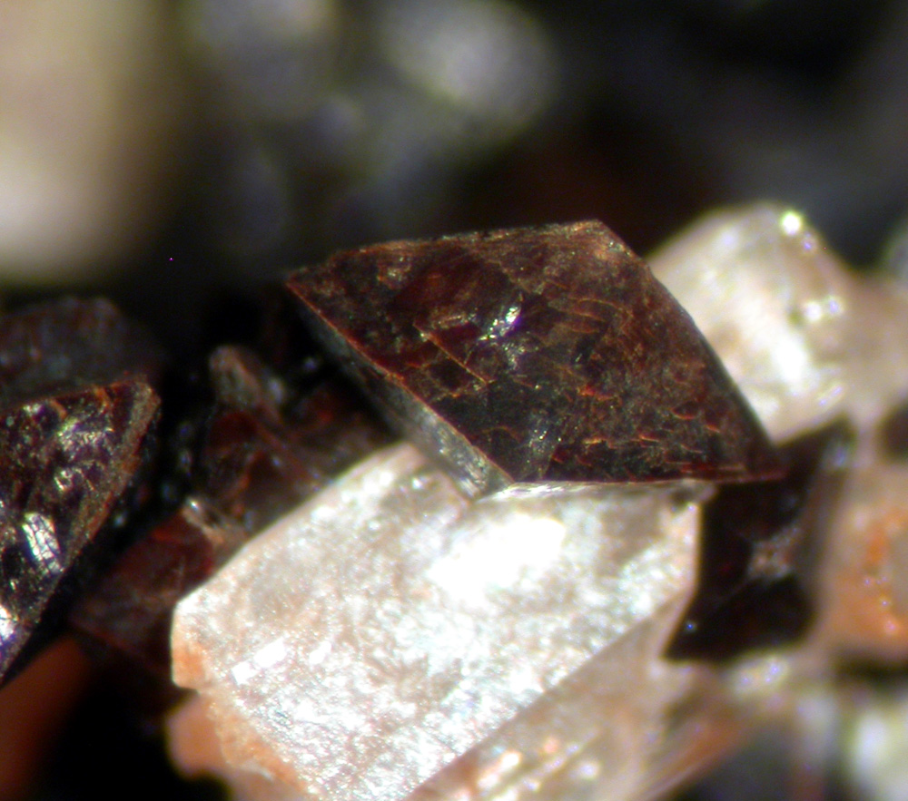 Correianevesite Hureaulite & Rockbridgeite