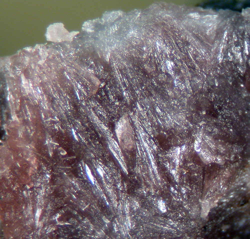 Schizolite