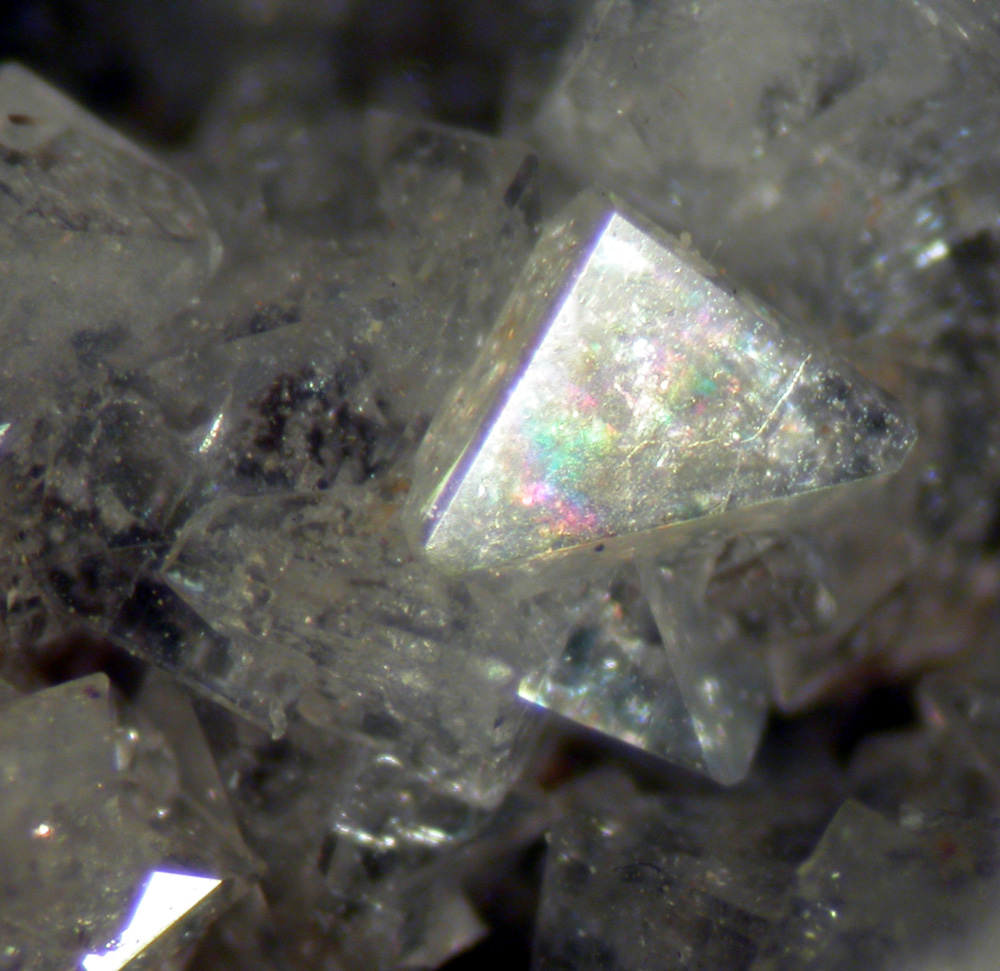 Kosnarite