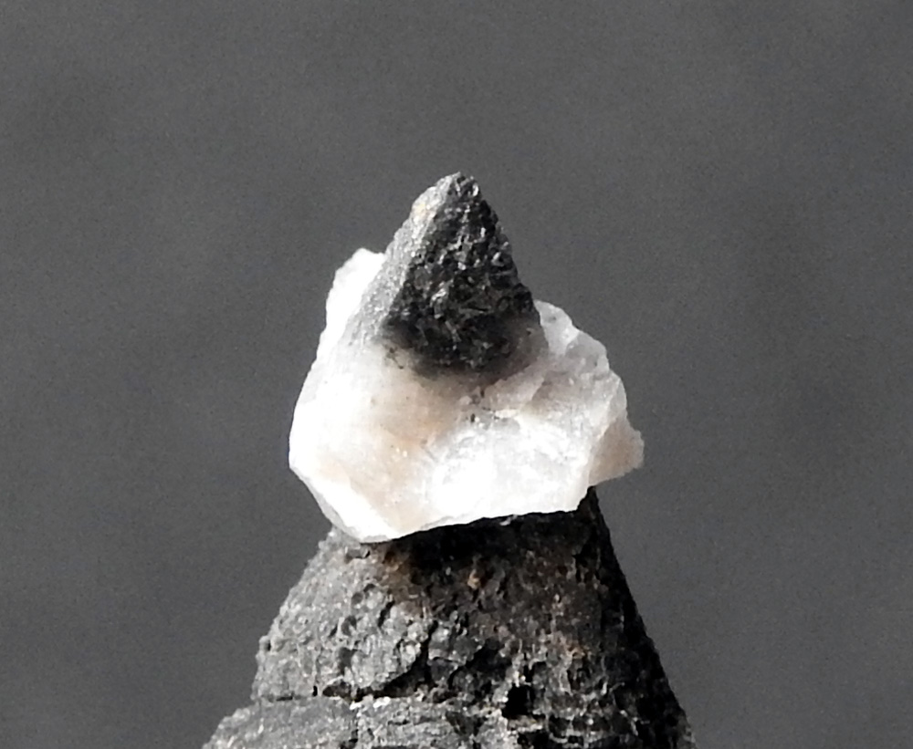 Pavonite
