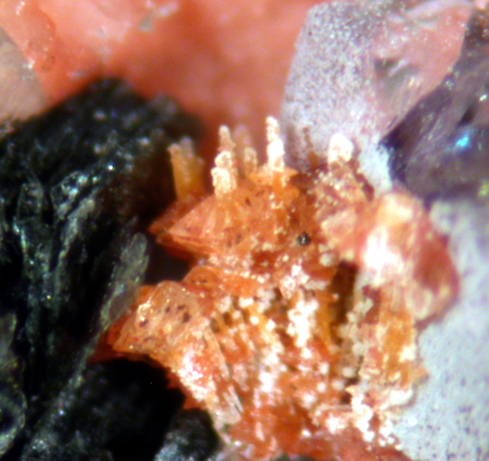 Xenotime-(Y) Zircon & Fluorite