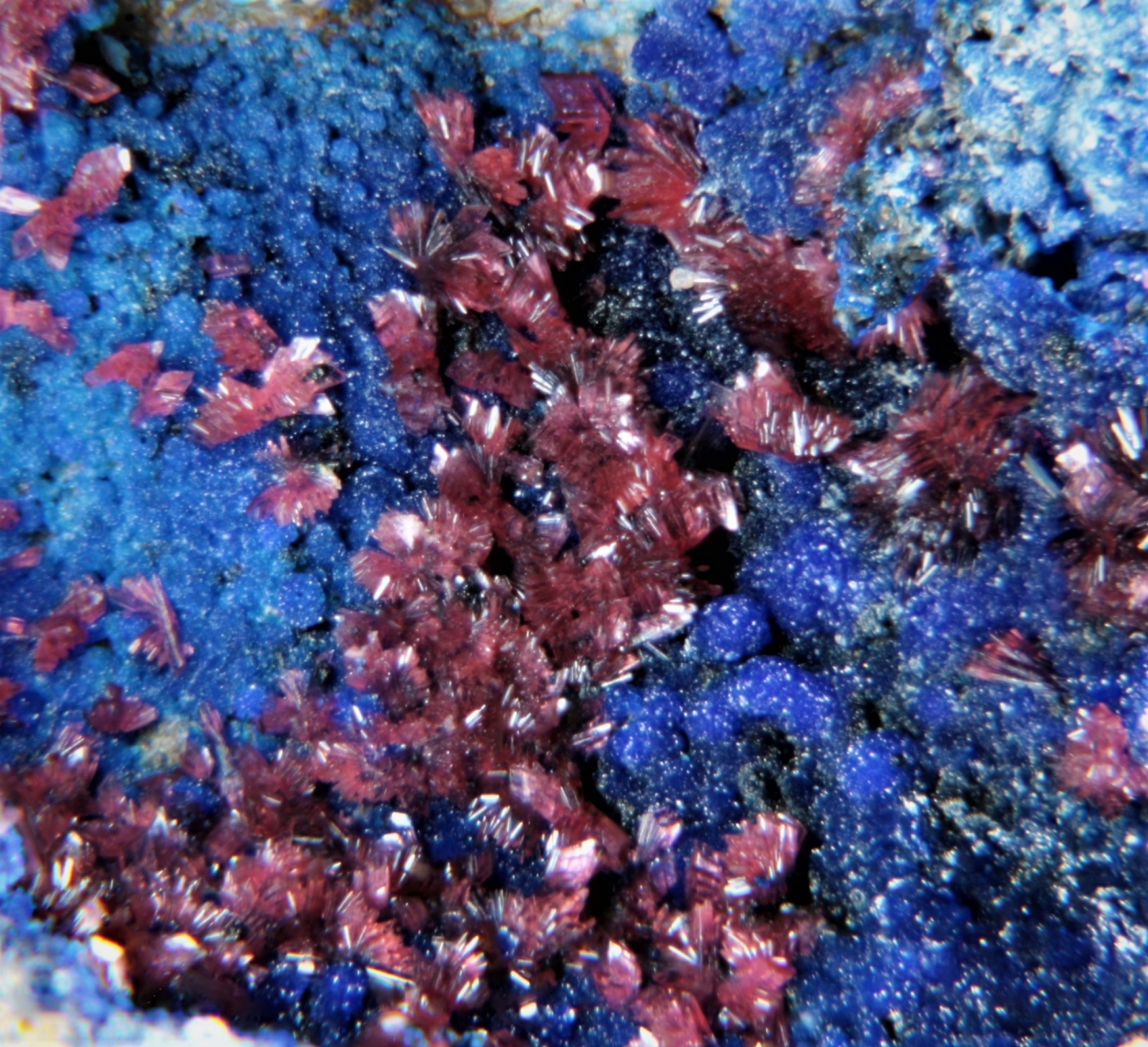 Azurite & Erythrite