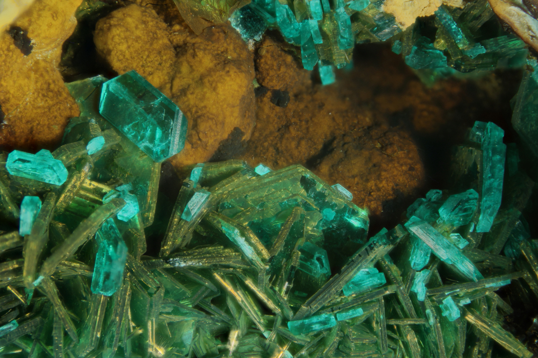 Chalcophyllite & Carbonatecyanotrichite