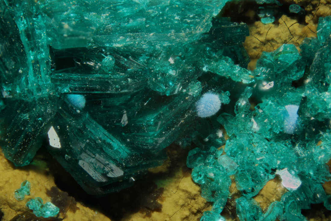 Chalcophyllite & Carbonatecyanotrichite