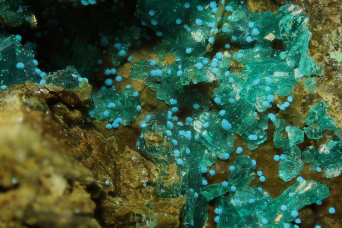 Chalcophyllite & Carbonatecyanotrichite