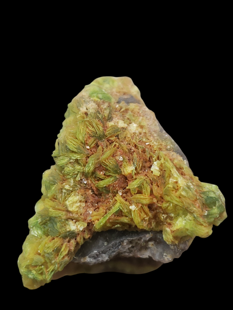 Autunite